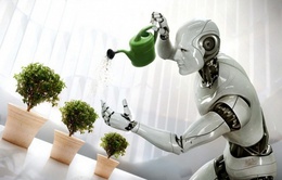 Robot dần thay thế công nhân tại châu Âu?