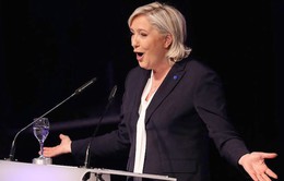 Cảnh sát bắt giữ nghi can tấn công trang mạng của ƯCV Marine Le Pen