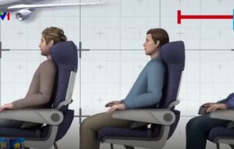 Ghế máy bay tại Mỹ ngày càng bé - Vì sao?