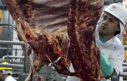 Brazil hối thúc Mỹ nối lại nhập khẩu thịt bò