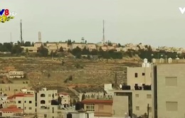 Palestine lên án kế hoạch xây thêm nhà định cư của Israel