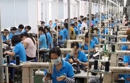 Việt Nam đang mất dần mất lợi thế về nhân công giá rẻ