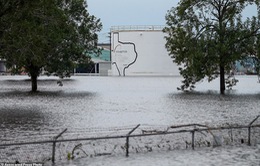 Nổ tại nhà máy hóa chất ở Mỹ do bão Harvey
