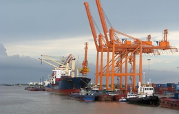 Cấm Hải Phòng thu giấy nộp phí hạ tầng cảng biển