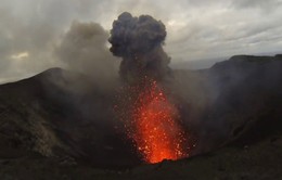 Hơn 6.000 người phải sơ tán do núi lửa phun trào tại Vanuatu
