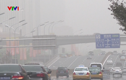 Ô tô là tác nhân chính gây ô nhiễm không khí ở Trung Quốc