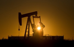 Giá dầu tăng bất chấp các động thái đến từ Mỹ