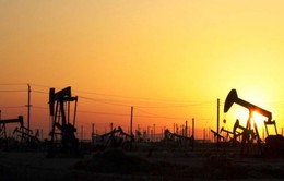 Giá dầu thế giới giảm sâu nhất từ tháng 11/2016