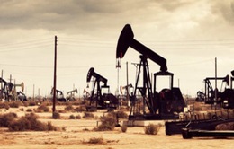 Viễn cảnh OPEC bắt tay với các công ty dầu khí đá phiến