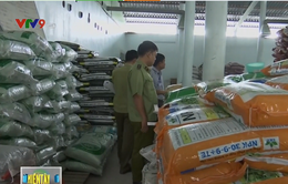 Tăng cường kiểm tra chất lượng phân bón tại Vĩnh Long