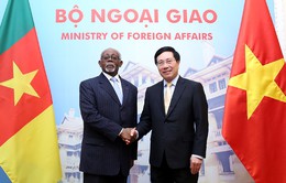 Tăng cường quan hệ Việt Nam - Cameroon