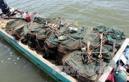 Quảng Ninh: Thu giữ, tiêu hủy các công cụ khai thác thủy sản trái phép