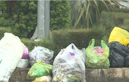 Bức bối ô nhiễm rác tại thị xã Ninh Hòa, Khánh Hòa