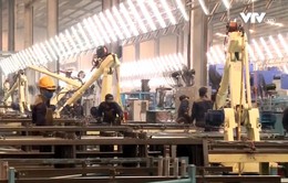 Thị trường robot Việt Nam 2019: Cơ hội và thách thức