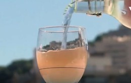 Rượu Pastis - Gợi nhớ những ngày hè ở nước Pháp