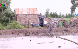 Người dân vùng sạt lở Cà Mau không mặn mà với khu tái định cư