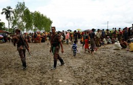 Liên Hợp Quốc quan ngại tình hình bạo lực tại miền Tây Myanmar