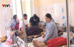Sốt xuất huyết tại Hà Nội tăng gần gấp 3 lần so với cùng kỳ năm 2016