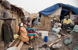 LHQ kêu gọi viện trợ 4,4 tỷ USD ngăn chặn nạn đói ở châu Phi
