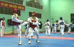 ĐT Taekwondo Việt Nam thích nghi với luật thi đấu taekwondo mới