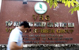 Tập đoàn Công nghiệp Cao su Việt Nam (VRG) chưa tìm được nhà đầu tư chiến lược