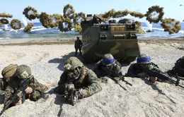 Hải quân Hàn Quốc, Australia sắp tập trận chung