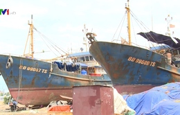 Vẫn chưa tiến hành sửa chữa tàu vỏ thép Bình Định
