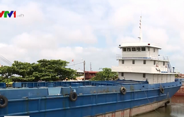 Bình Thuận: Nhiều tàu cá đóng theo Nghị định 67 “đắp chiếu”
