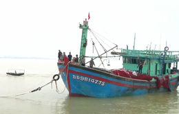 Cứu nạn thành công tàu cá Bình Định và 16 ngư dân gặp nạn