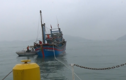 Cứu tàu cá cùng 9 thuyền viên gặp nạn trên biển