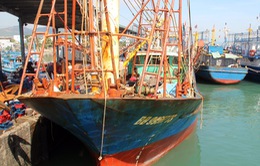 Tàu cá vỏ thép hư hỏng: Kỷ luật 6 cán bộ đăng kiểm