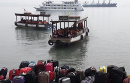 Thắt chặt công tác quản lý dịch vụ du lịch trên vịnh Hạ Long