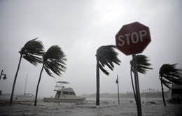 Siêu bão Irma, Harvey có thể "thổi bay" gần 300 tỷ USD của nước Mỹ