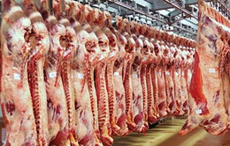 Nhiều nước yêu cầu Brazil tạm ngừng xuất khẩu thịt