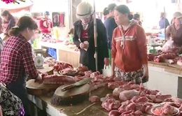 Giá thịt lợn giảm khiến CPI tháng 4 đứng im