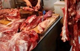 Ấn Độ: Tiểu thương kinh doanh thịt bò biểu tình phản đối lệnh cấm giết mổ gia súc