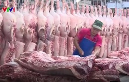 Nhiều giải pháp đẩy mạnh tiêu thụ thịt lợn hỗ trợ người chăn nuôi