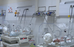 Vụ 4 trẻ sơ sinh tử vong ở Bắc Ninh: Chuyển các bệnh nhi lên tuyến trên để khử khuẩn bệnh viện