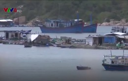 Khánh Hòa: Tìm thấy 12 thi thể trôi dạt trên biển