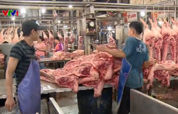 TP.HCM: 65% lợn tại chợ đầu mối Bình Điền chưa truy xuất được nguồn gốc