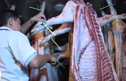 Lỗ hổng trong quy trình truy xuất nguồn gốc thịt lợn