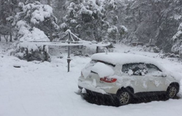 Tuyết rơi dày đặc giữa mùa hè ở miền Nam Australia