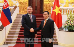Hợp tác kinh tế - thương mại giữa Việt Nam và Slovakia phát triển ổn định