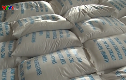200.000 tấn gạo được xuất khẩu chính ngạch sang Trung Quốc