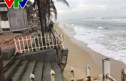 [ẢNH] Đà Nẵng: Bãi biển Mỹ Khê bị sạt lở nghiêm trọng