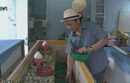 Chàng trai Lào khởi nghiệp với nghề nuôi dế mèn