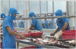 Mỹ từ chối nhập cá tra xông khói Việt Nam