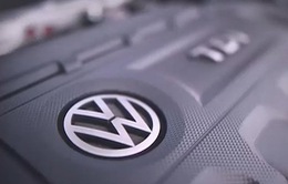 Volkswagen vướng bê bối thử nghiệm phát thải khí trên khỉ và người