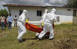 Che giấu các trường hợp nghi nhiễm Ebola sẽ bị phạt tù tại CHDC Congo