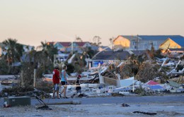 Mỹ ban bố tình trạng khẩn cấp do bão Michael tại Alabama